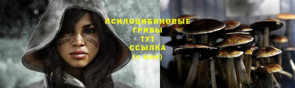 альфа пвп Нягань