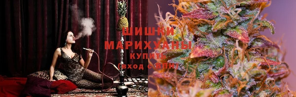 гашик Алзамай