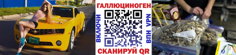 Галлюциногенные грибы Psilocybine cubensis Муром